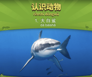认识动物 1：大白鲨