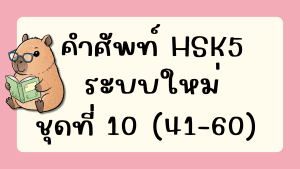 คำศัพท์HSK5 (ชุดที่ 10) ข้อที่ 41-60